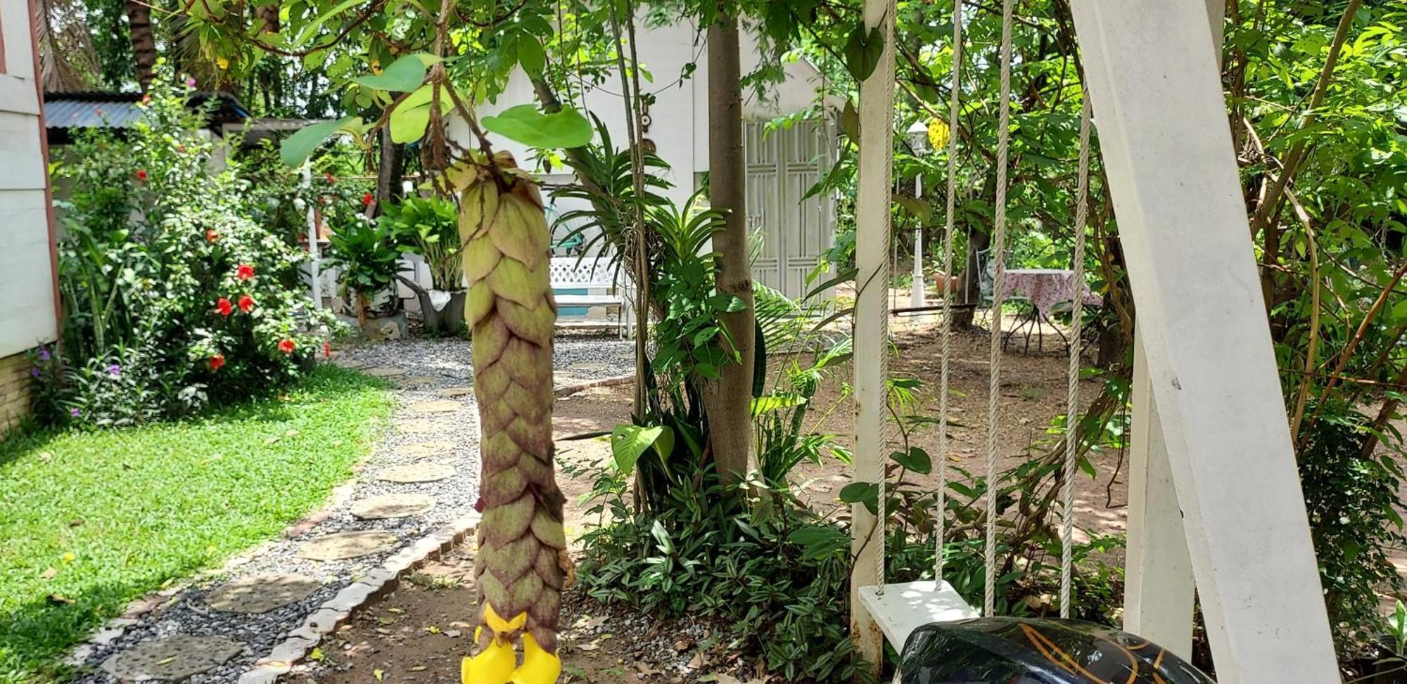 Village Homestay Udon Thani Exteriér fotografie